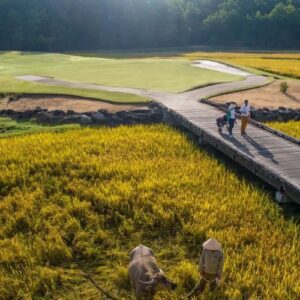 How to Plan a Perfect Family Golf Tour in Vietnam 2026/2027