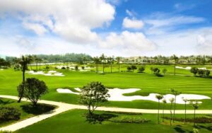 SONO BELLE Hai Phong 1