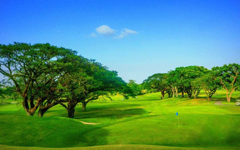 Clark Golf Courses