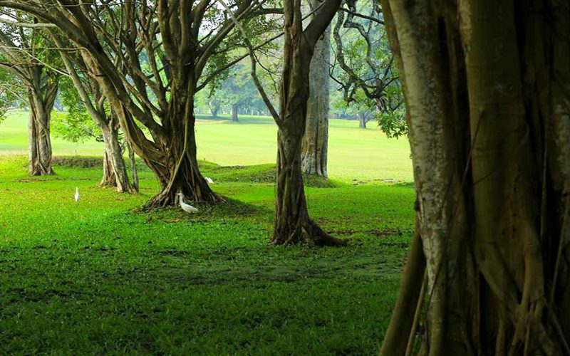 Royal Complex Colombo Royal Colombo Golf Club in Sri Lanka, Tee Times, Reviews