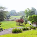 Daiman 18 Golf Club 2