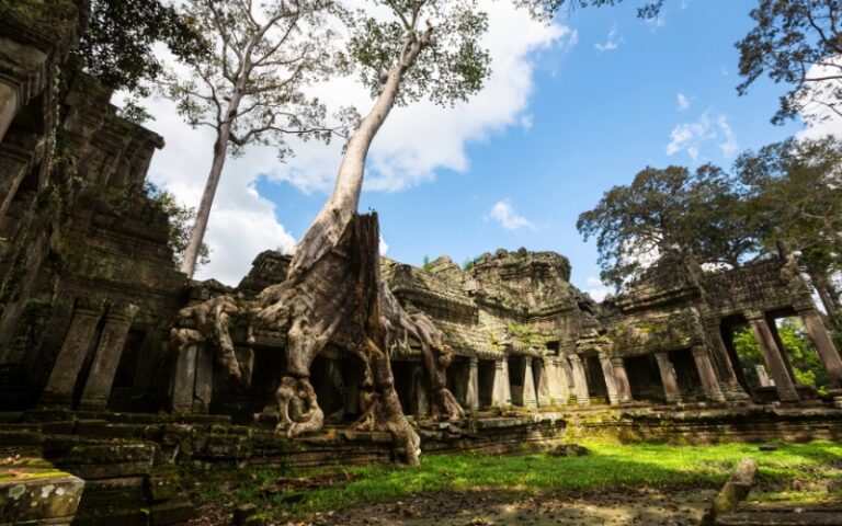 cambodia golfing weather