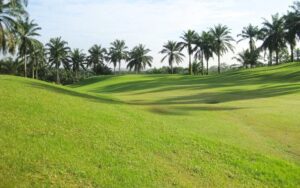 Mount Malindang Golf & Country Club 1