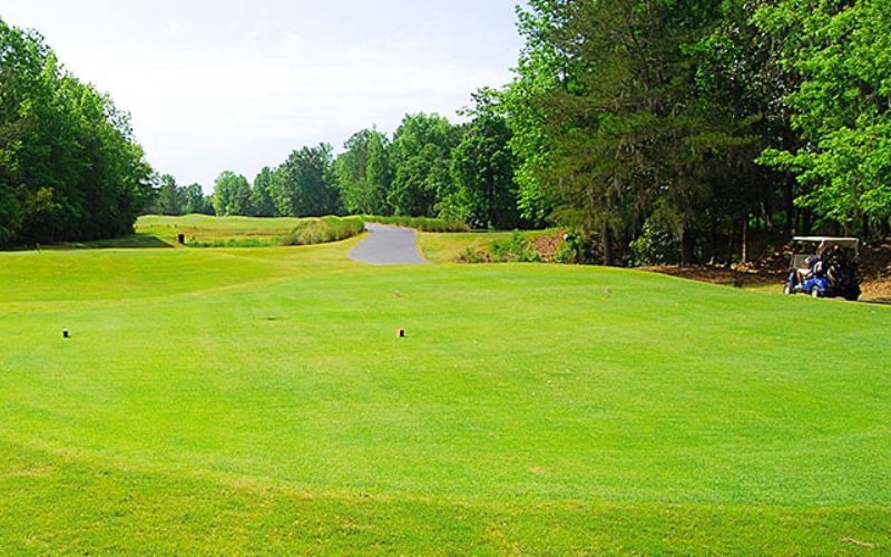 Leyte Golf and Country Club 2