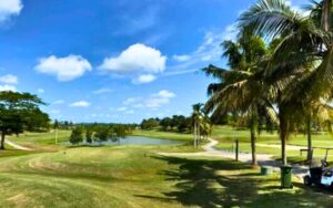 Ladang Bukit Lawang Country Club (1)