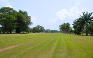 Tanjong Emas Golf Club 2