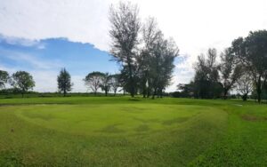 carey island golf club 1