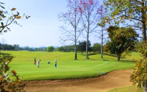 Sai Golf Club 2