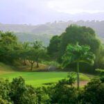 Iswahyudi Golf Club 1