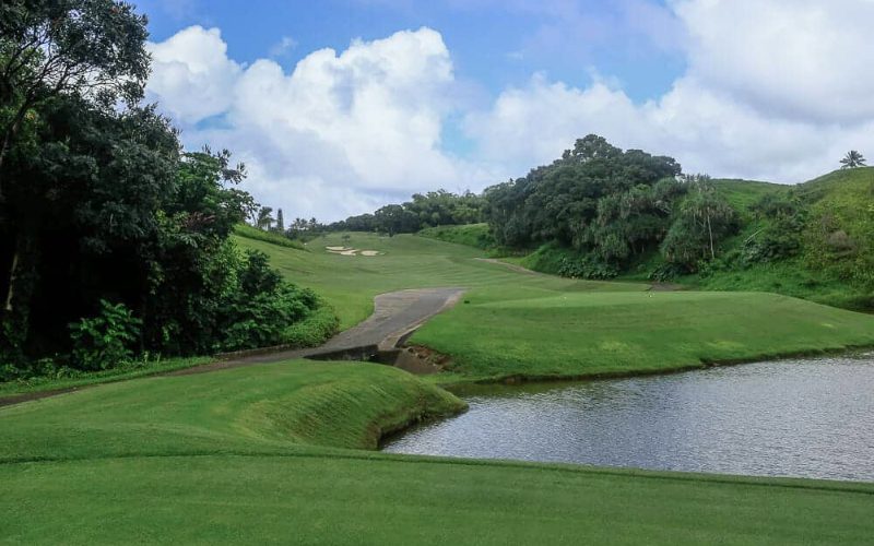 Iswahyudi Golf Club 2