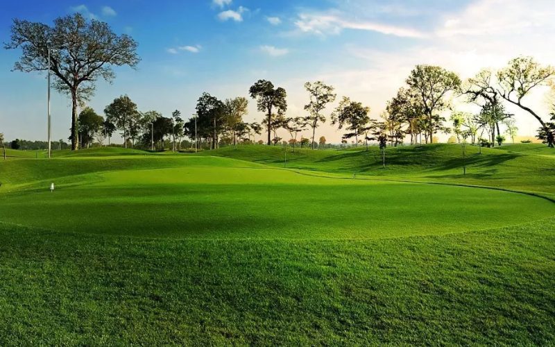 Palm Hill Golf Club 1