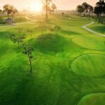 Palm Hill Golf Club 2