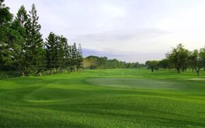 Palm Hill Golf Club
