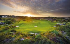 St Francis Links