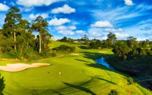 The Montagu Course at Fancourt 3