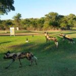 Malelane Golf Club 3