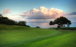 East London Golf Club 2