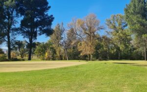 queenstown golf club 2