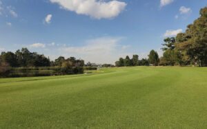 benoni country club 1