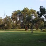 nigel golf club 3