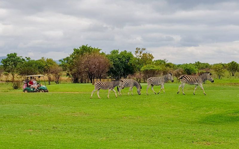 Zebula Golf Estate