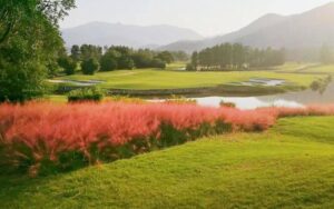 Fujian golf tour 5 day