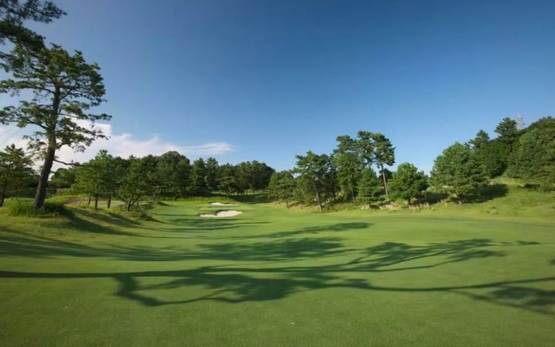 Scenic view of Yokohama Country Club golf course in Japan with lush green fairways and trees